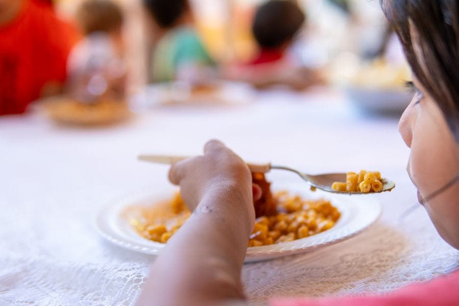 Plato de comida servido en un comedor
